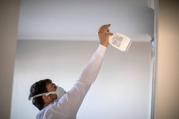 Best Best Mold Removal Companies  in Spring Arbor, MI