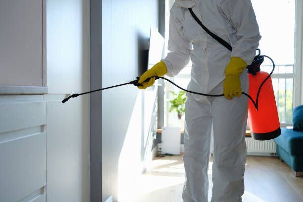 Water Damage Restoration in Spring Arbor, MI
